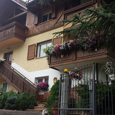 B&B Al Cedro Sporminore Exteriér fotografie